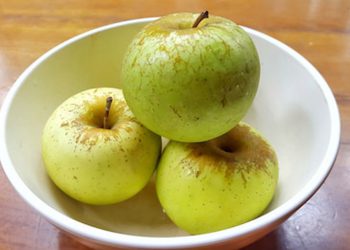 Anak-anak dan Lansia Kota Batu Dapat Nutrisi Tambahan Cegah Covid-19