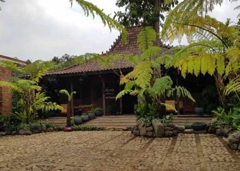 https://www.google.com/url?sa=i&url=https%3A%2F%2Fwanimbambung.blogspot.com%2F2019%2F09%2Fndalem-ratu-singosari-antara-menu-raja.html&psig=AOvVaw2vgmAUKYKb59xyXl6OOzum&ust=1586517319441000&source=images&cd=vfe&ved=0CAMQjB1qFwoTCND_ptub2-gCFQAAAAAdAAAAABAI