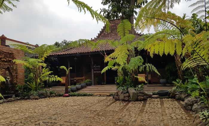 https://www.google.com/url?sa=i&url=https%3A%2F%2Fwanimbambung.blogspot.com%2F2019%2F09%2Fndalem-ratu-singosari-antara-menu-raja.html&psig=AOvVaw2vgmAUKYKb59xyXl6OOzum&ust=1586517319441000&source=images&cd=vfe&ved=0CAMQjB1qFwoTCND_ptub2-gCFQAAAAAdAAAAABAI