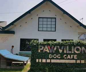 https://www.google.com/url?sa=i&url=https%3A%2F%2Fwww.traveloka.com%2Fid-id%2Frestaurants%2Findonesia%2Fdetail%2FPawvilion-Dog-Cafe-38684&psig=AOvVaw2ou6l-DNnjT9iYUhK0lThL&ust=1590738644280000&source=images&cd=vfe&ved=0CAMQjB1qFwoTCJjx1pWJ1ukCFQAAAAAdAAAAABAX