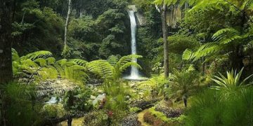 https://www.google.com/url?sa=i&url=https%3A%2F%2Fjadwaltravel.com%2Fcoban-jahe-jabung-malang%2F&psig=AOvVaw2ouIxBUk2UQIQGj1uQQJSi&ust=1594643950997000&source=images&cd=vfe&ved=0CAMQjB1qFwoTCPC2gvDdx-oCFQAAAAAdAAAAABAD