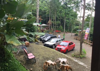 https://ecayana.wordpress.com/2016/12/28/desapa-resto/