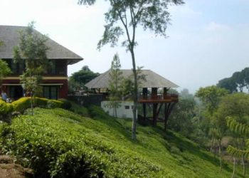 https://www.google.com/url?sa=i&url=https%3A%2F%2Fwww.tripadvisor.co.id%2FShowUserReviews-g3528938-d3523995-r401916052-Kebun_Teh_Wonosari-Lawang_East_Java_Java.html&psig=AOvVaw1h3wg8B57BWix2RmljNzf9&ust=1595641774006000&source=images&cd=vfe&ved=0CAMQjB1qFwoTCKCCuv_i5OoCFQAAAAAdAAAAABAD