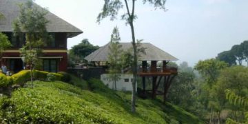 https://www.google.com/url?sa=i&url=https%3A%2F%2Fwww.tripadvisor.co.id%2FShowUserReviews-g3528938-d3523995-r401916052-Kebun_Teh_Wonosari-Lawang_East_Java_Java.html&psig=AOvVaw1h3wg8B57BWix2RmljNzf9&ust=1595641774006000&source=images&cd=vfe&ved=0CAMQjB1qFwoTCKCCuv_i5OoCFQAAAAAdAAAAABAD