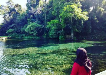 https://www.google.com/url?sa=i&url=https%3A%2F%2Fpiknikasik.com%2Fjernih-nya-mata-air-sumber-sirah-spot-snorkling-air-tawar-di-malang&psig=AOvVaw1EPWbgMef_8-Cgs5cqviCl&ust=1596260613677000&source=images&cd=vfe&ved=0CAMQjB1qFwoTCNiVrpPk9uoCFQAAAAAdAAAAABAD
