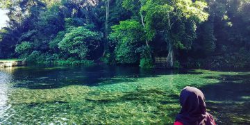 https://www.google.com/url?sa=i&url=https%3A%2F%2Fpiknikasik.com%2Fjernih-nya-mata-air-sumber-sirah-spot-snorkling-air-tawar-di-malang&psig=AOvVaw1EPWbgMef_8-Cgs5cqviCl&ust=1596260613677000&source=images&cd=vfe&ved=0CAMQjB1qFwoTCNiVrpPk9uoCFQAAAAAdAAAAABAD