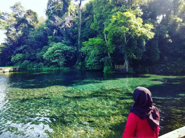 https://www.google.com/url?sa=i&url=https%3A%2F%2Fpiknikasik.com%2Fjernih-nya-mata-air-sumber-sirah-spot-snorkling-air-tawar-di-malang&psig=AOvVaw1EPWbgMef_8-Cgs5cqviCl&ust=1596260613677000&source=images&cd=vfe&ved=0CAMQjB1qFwoTCNiVrpPk9uoCFQAAAAAdAAAAABAD