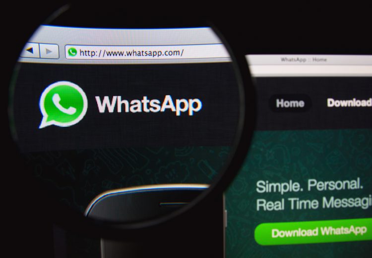 WhatsApp kini sudah bisa melakukan video call dengan 50 orang sekaligus  dengan menggunakan WhatsApp Web dan Messenger Rooms.