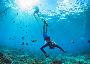 Spot snorkeling di Malang