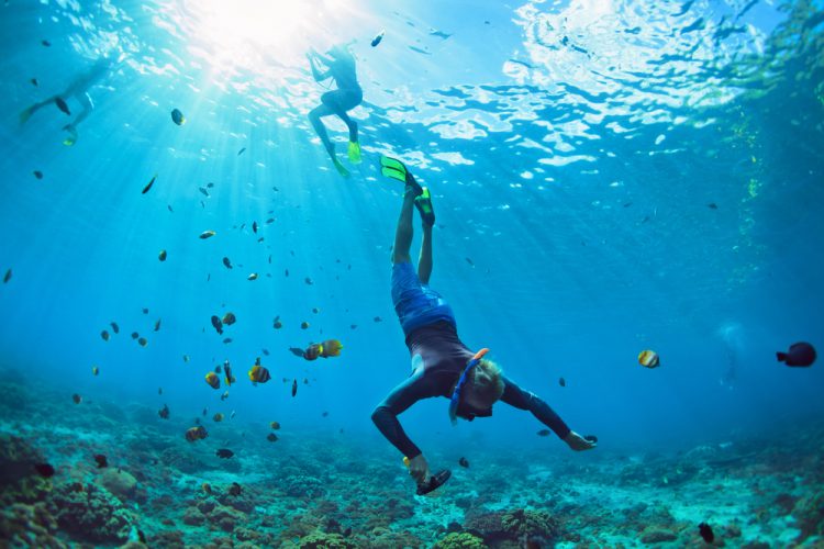 Spot snorkeling di Malang