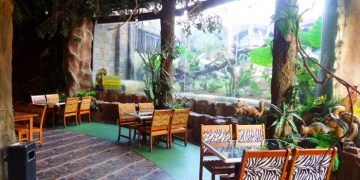 Jungle Fast Food Pohon Inn Batu, Sensasi Makan Ditemani Singa
