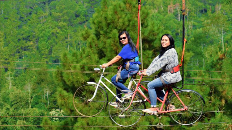 5 Spot yang Harus Anda Coba Ketika Liburan ke Batu Flower Garden