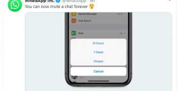 Akhirnya WhatsApp Resmi Merilis Fitur Mute Selamanya