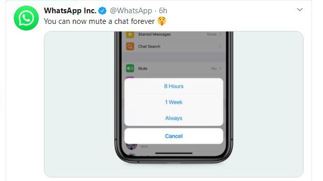 Akhirnya WhatsApp Resmi Merilis Fitur Mute Selamanya