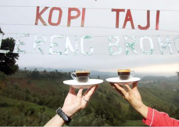 Kopi Taji