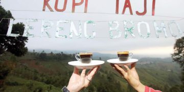 Kopi Taji