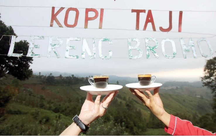 Kopi Taji