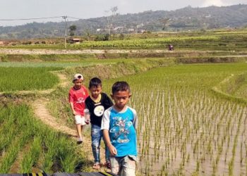 Daftar Alamat Toko Pertanian di Malang Raya