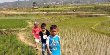 Daftar Alamat Toko Pertanian di Malang Raya