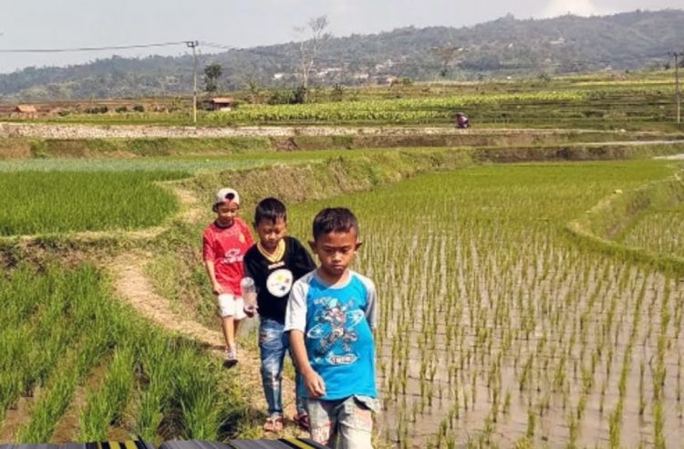 Daftar Alamat Toko Pertanian di Malang Raya