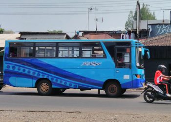 Daftar Alamat PO Bus di Malang Raya