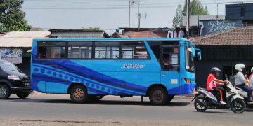 Daftar Alamat PO Bus di Malang Raya