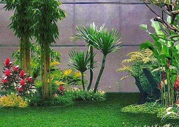 Daftar Jasa Tukang Pembuat Taman di Malang Raya