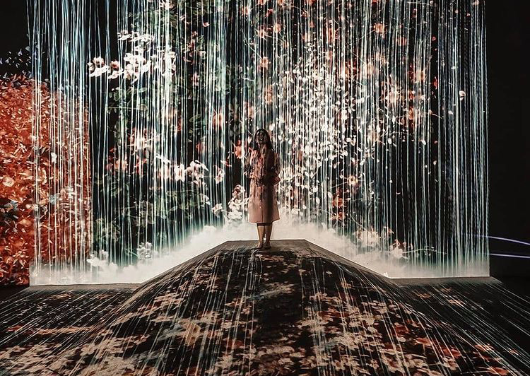 Animal Forest © Instagram @amandaakohar