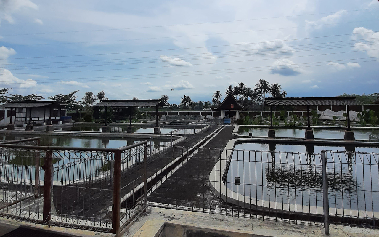 Balai Benih Ikan Tlogowaru