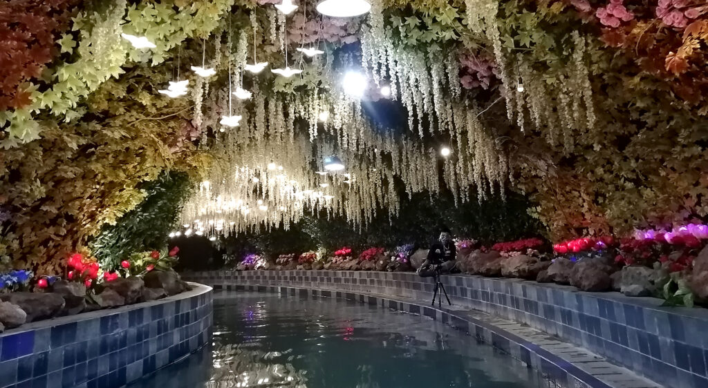 Taman Bunga Magic Journey - Malang Night Paradise © ChanS