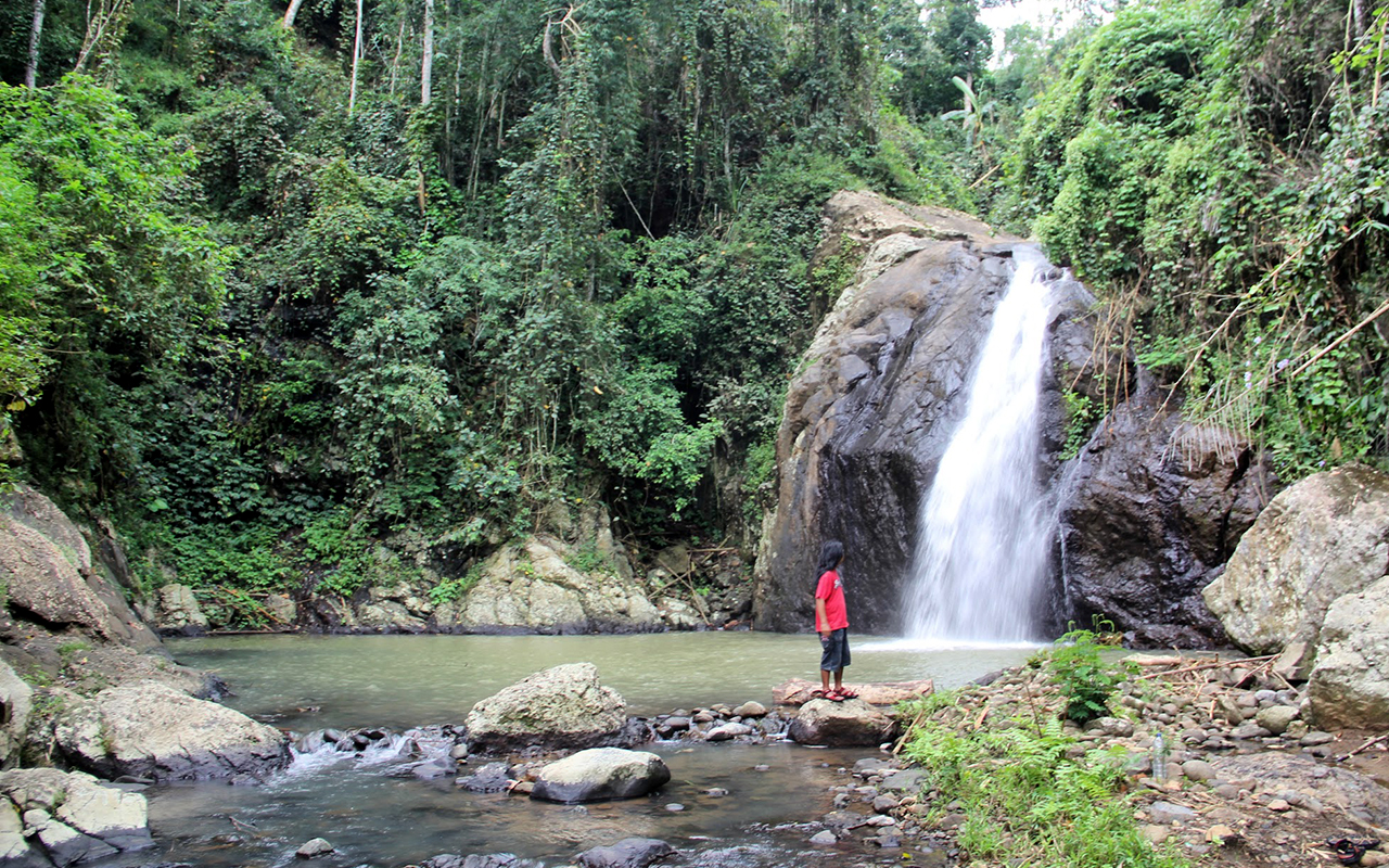 coban pletes dampit