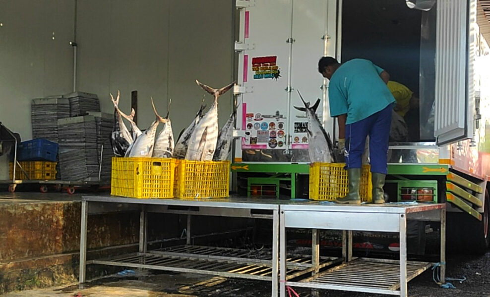 Cold Storage Ikan © Mega Indriani