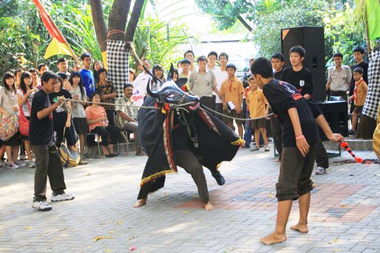 foto oleh cinta Indonesia
