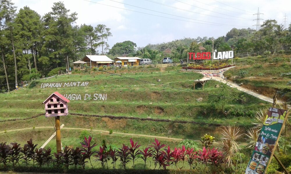Sumber: Hanim Permana