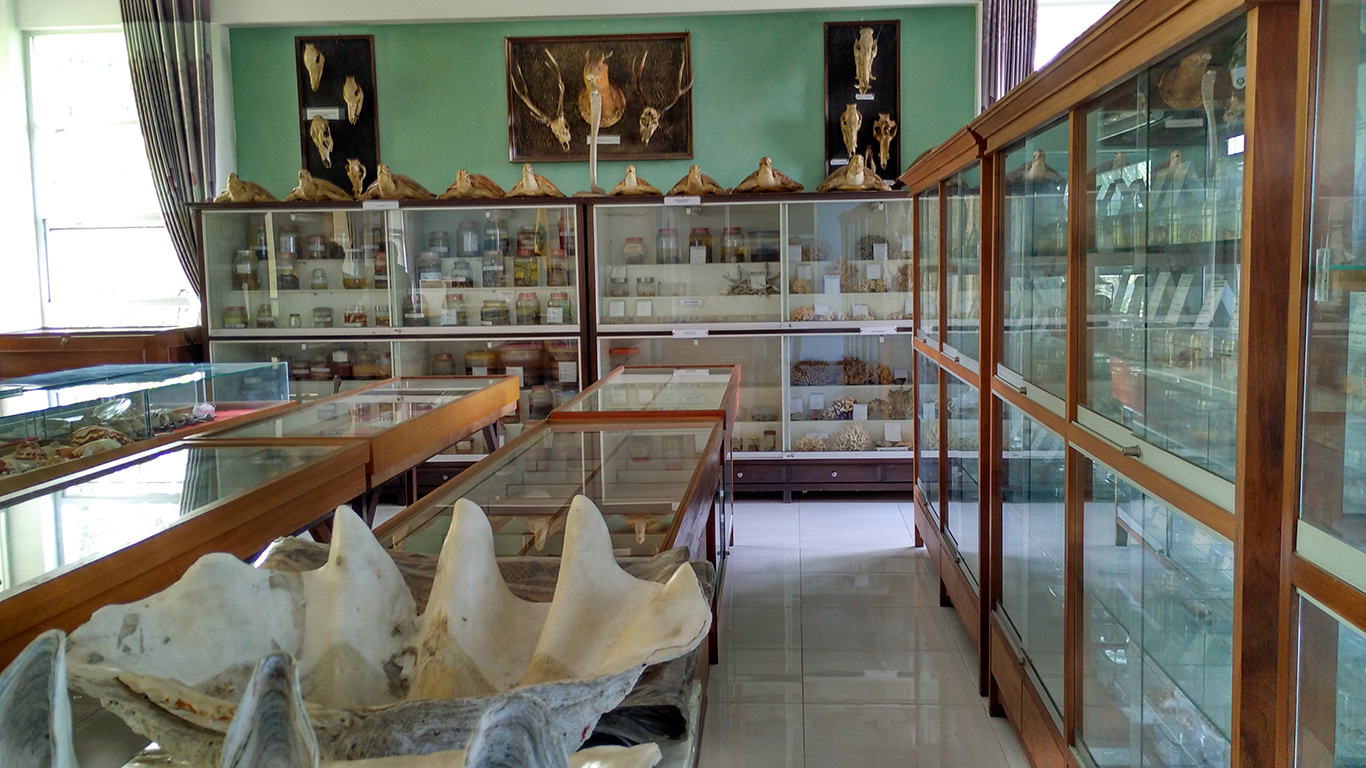 museum zoologi Frater Vianney