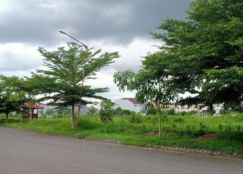 Kepuharjo