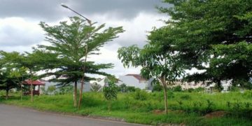 Kepuharjo