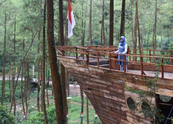 5 Wisata Hutan Pinus Keren di Malang Raya