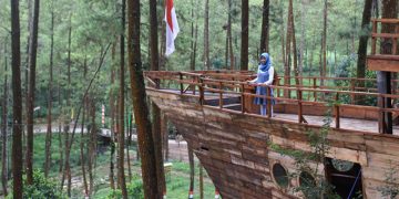 5 Wisata Hutan Pinus Keren di Malang Raya