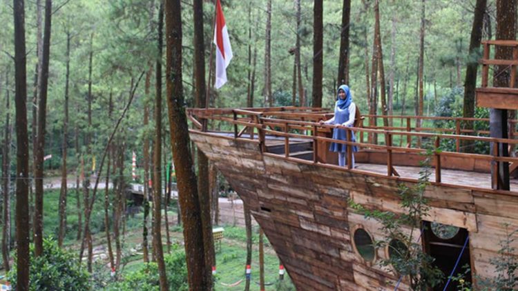 5 Wisata Hutan Pinus Keren di Malang Raya