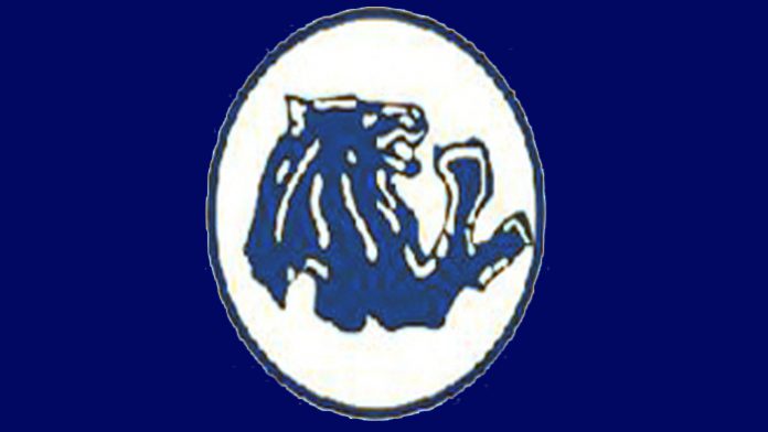 Perjalanan Arema di Galatama X (1990)